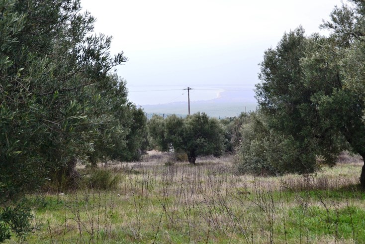 Realty photo 1