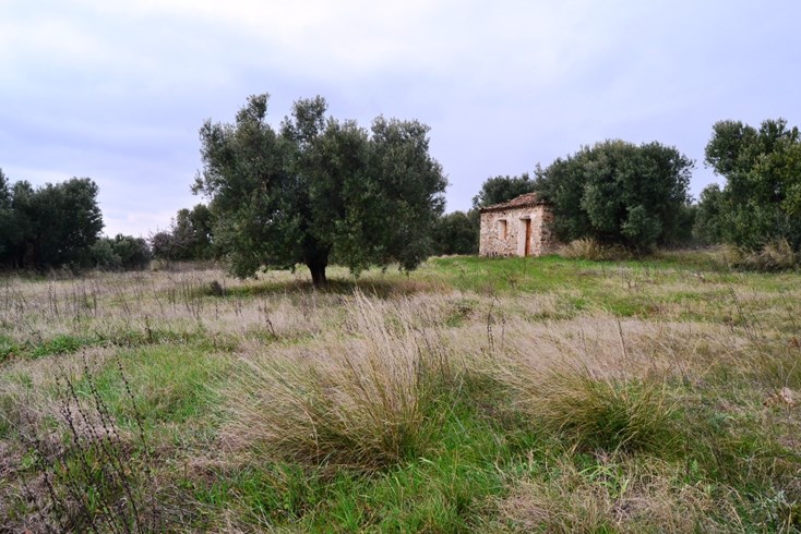 Realty photo 3