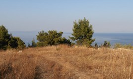 Land 15580 m² auf Kassandra (Chalkidiki)