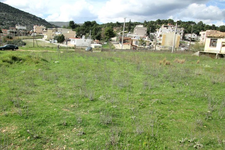 Realty photo 2