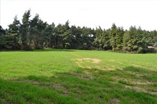 Property 9621 photo 3