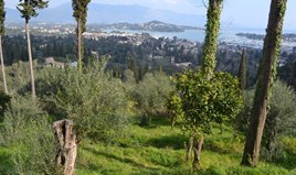 სასტუმრო 2050 m² კორფუზე