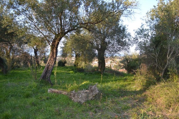 Realty photo 2