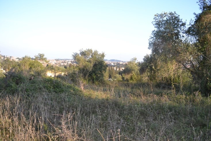 Realty photo 3