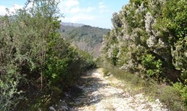 Land 2313 m² in Corfu