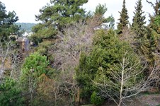 Property 9666 photo 18