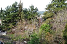 Property 9666 photo 19