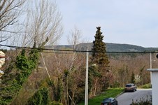 Property 9666 photo 21