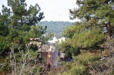 Property 9666 photo 22