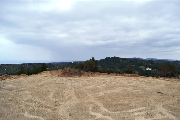 Realty photo 2