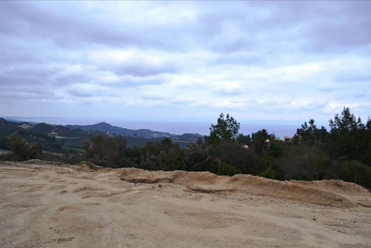 Realty photo 3