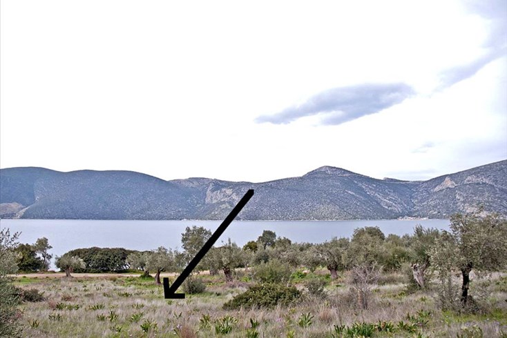 Realty photo 2