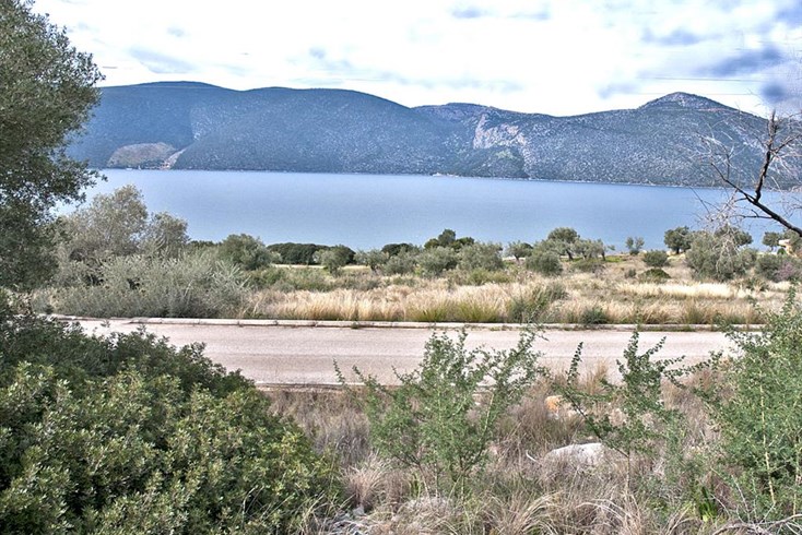 Realty photo 1