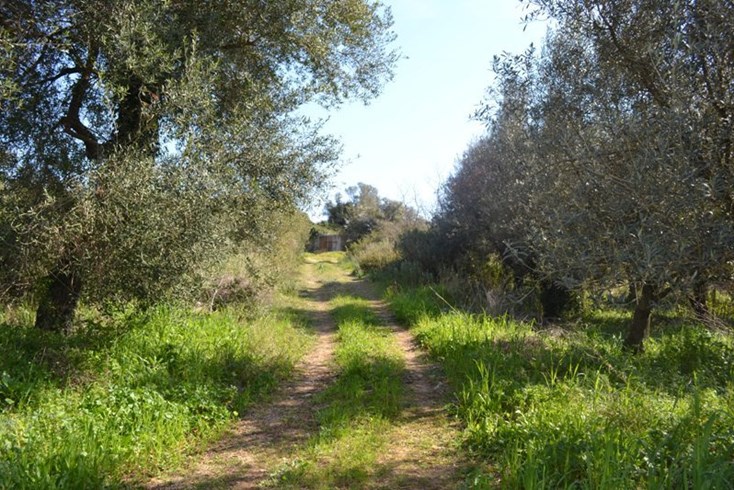 Realty photo 1