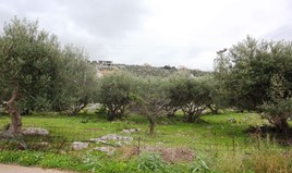 Парцел 2400 m² на Крит