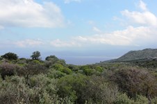 Property 9762 photo 4