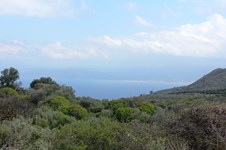 Property 9762 photo 5