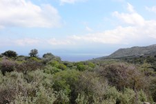 Property 9762 photo 6