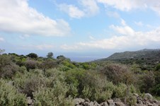 Property 9762 photo 7