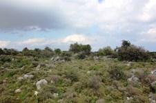 Property 9762 photo 8