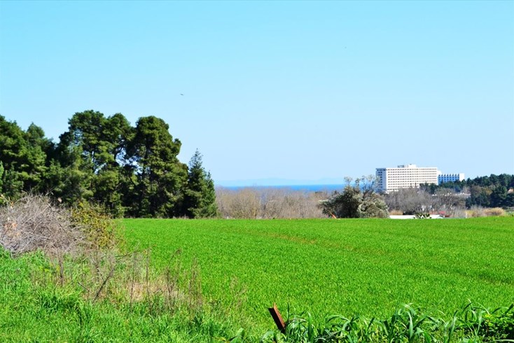 Realty photo 1