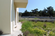 Property 9821 photo 28