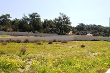 Property 9821 photo 31