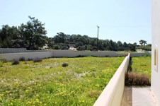 Property 9821 photo 32