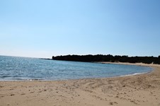 Property 9821 photo 39