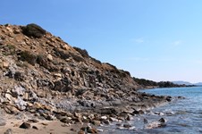 Property 9821 photo 40