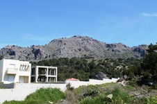 Property 9821 photo 37