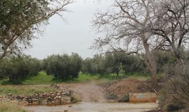 Land 1100 m² in Sithonia, Chalkidiki