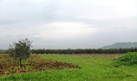 Land 4890 m² in Sithonia, Chalkidiki