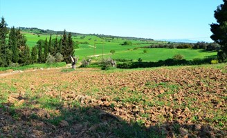 სასტუმრო 4000 m² კასანდრაზე (ქალკიდიკი)