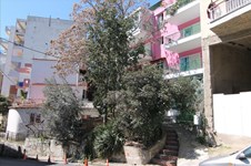 Property 9923 photo 1