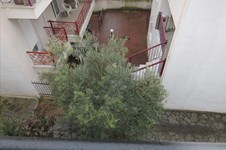 Property 9928 photo 12